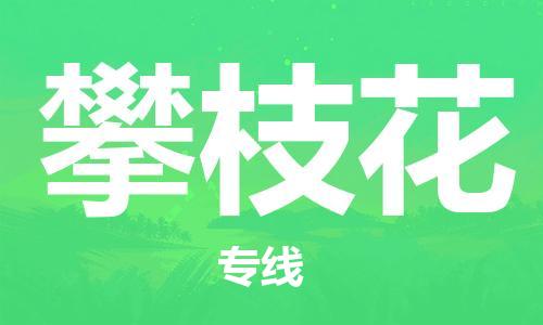 上海到攀枝花空運(yùn)_上海至攀枝花航空貨運(yùn)_上海飛攀枝花當(dāng)日達(dá)